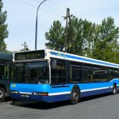 Neoplan N4020 #BN126