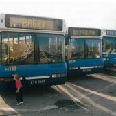 Neoplan N4020 #PN123