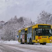 Jelcz 120MM/2 #382