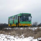 Jelcz M11 #1446