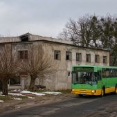 Jelcz M11 #1446
