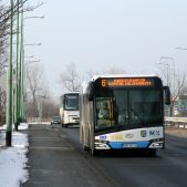 Solaris Urbino 12 #246