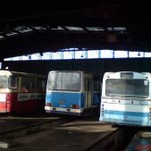 Ikarus 260.04 #PH118