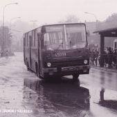 Ikarus 260.04 #45058