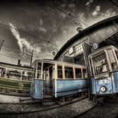 MAN PN3 #555