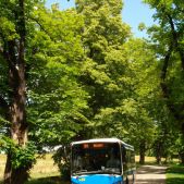 Jelcz M083C #DA103