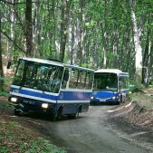 Autosan H6-20 #BA118 i Jelcz M083C #DA103
