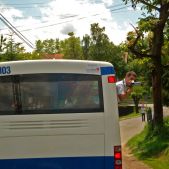 Szubak...