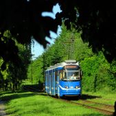 EU8N #3034