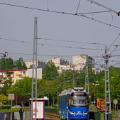 EU8N #3024