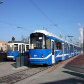 EU8N #3016