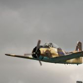 T-28 Trojan/Fennec #G-TROY