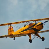 Bucker 131 Jungmann #SP-YES