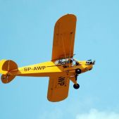 Piper J-3 #SP-AWP