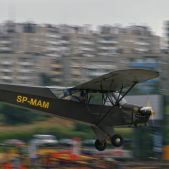 Piper Cub #SP-MAM