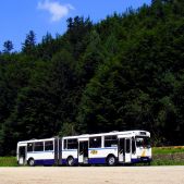Ikarus-Zemun IK160P #661