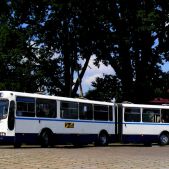 Ikarus-Zemun IK160P #661