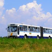 Ikarus-Zemun IK160P #661