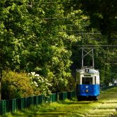 Sanok SN2 #87