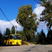 Jelcz L090M #51
