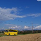 Jelcz L090M #51