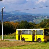 Jelcz L090M #51