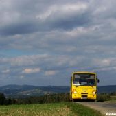 Jelcz L090M #51