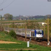 183-604