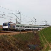 183-604