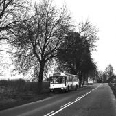 Ikarus-Zemun IK160P #1051
