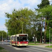 Jelcz M121M #012